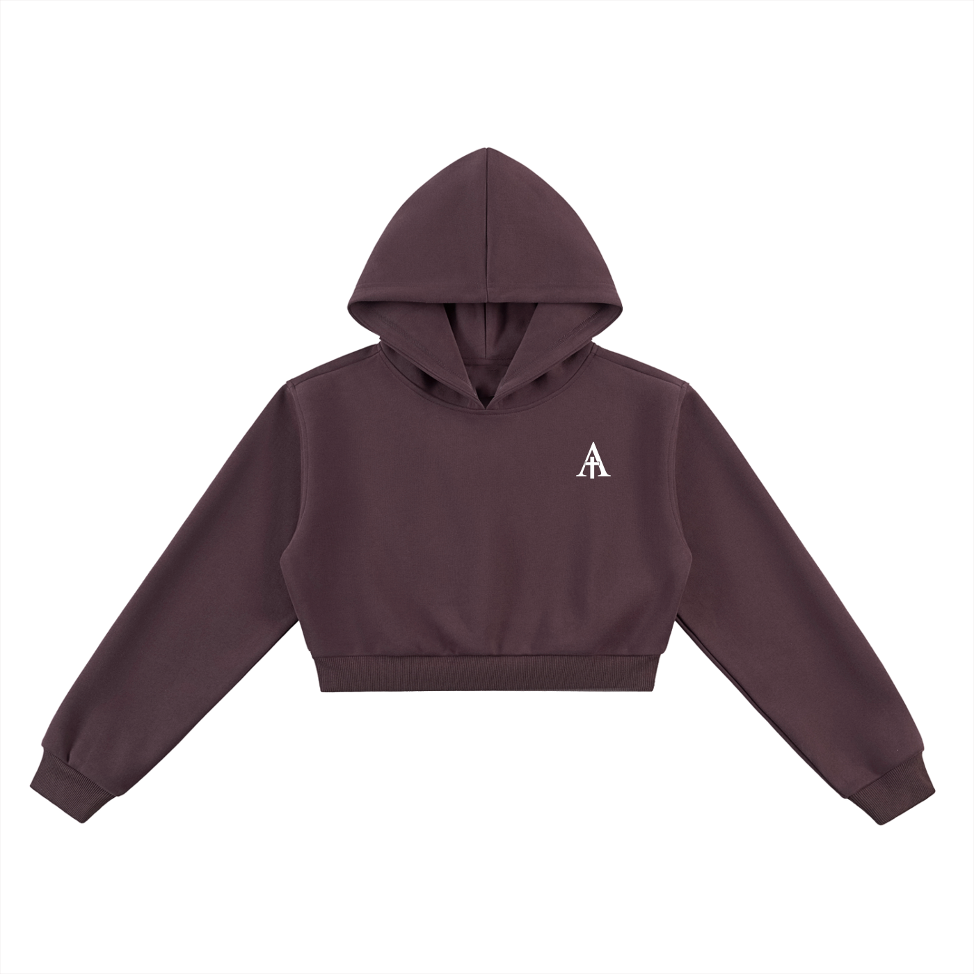 VICTORIOUS - Cropped Athletic Hoodie