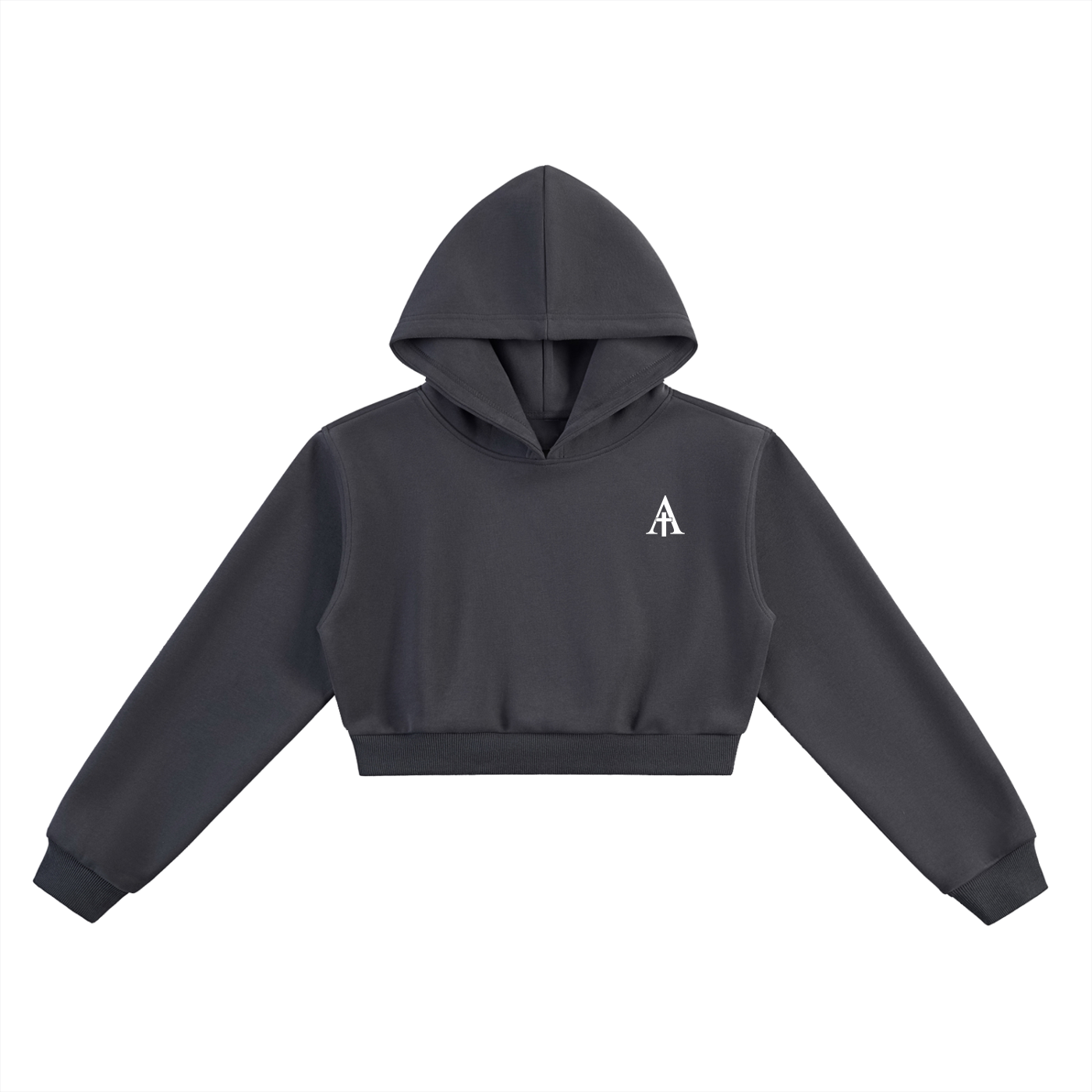 VICTORIOUS - Cropped Athletic Hoodie