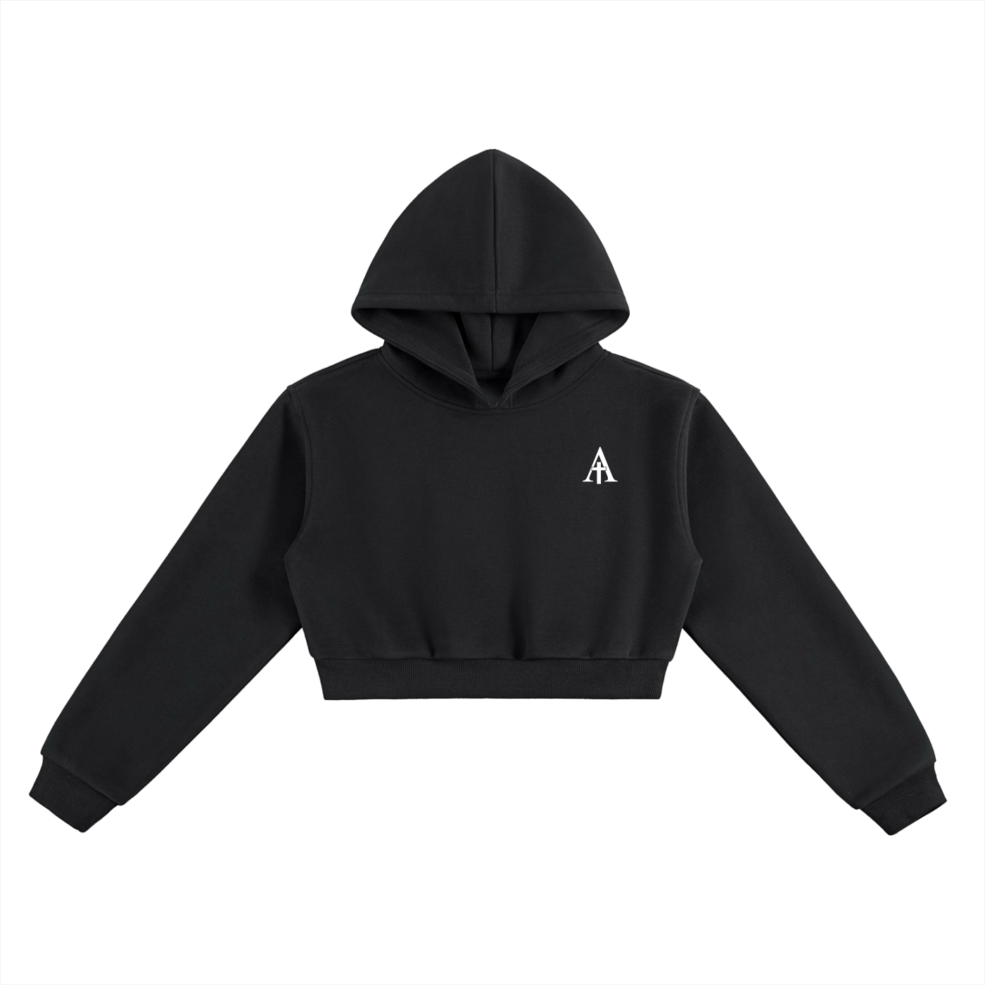 VICTORIOUS - Cropped Athletic Hoodie