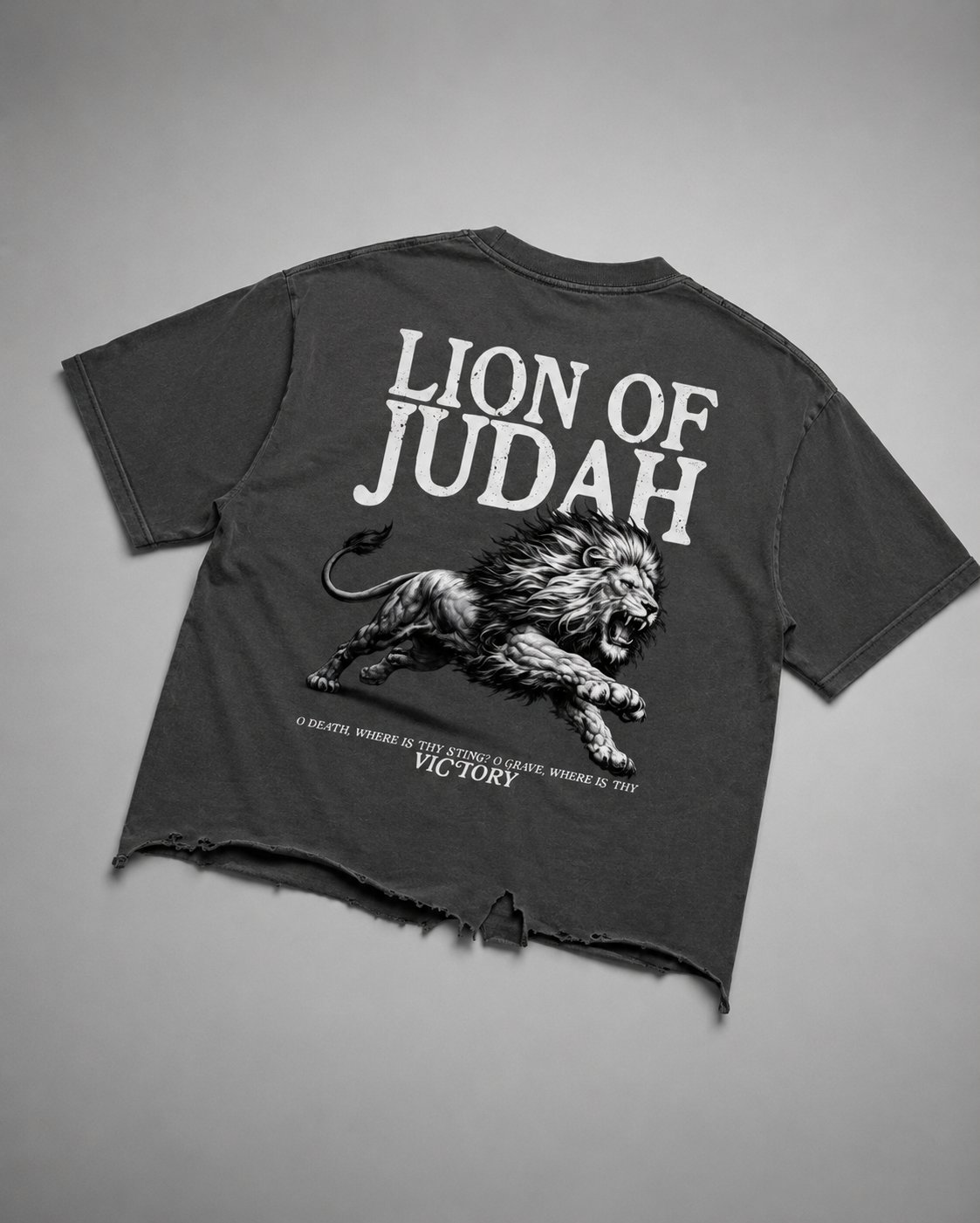 Lion of Judah - Distressed Tee