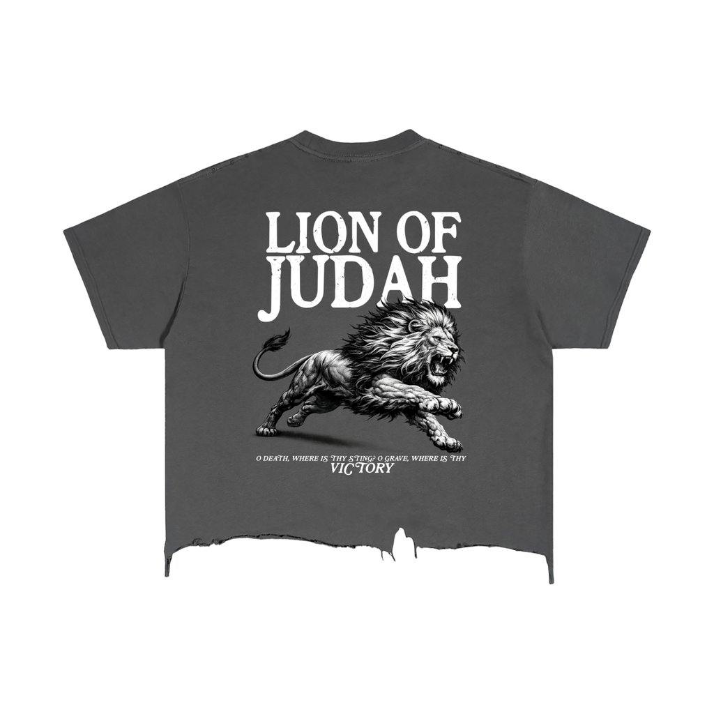 Lion of Judah - Distressed Tee